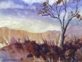 Rocky RIdge